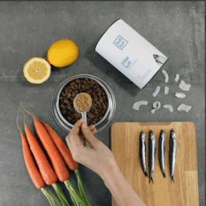 Elderkun- Suplemento para prevenir envejecimiento cerebral perros sénior