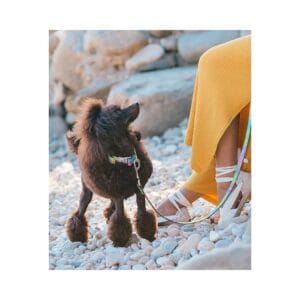 COLLAR TEXTURA MNTJOI