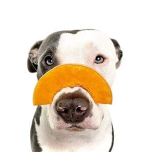 FIRM UP! Pumpkin + Cranberry - Suplemento para diarreas y estreñimiento. Estómagos delicados