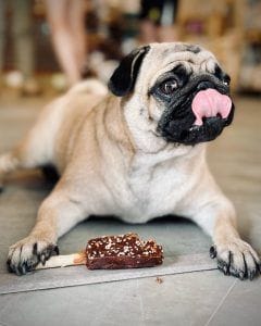 Denta Fun Chicken Cheese Lolipop