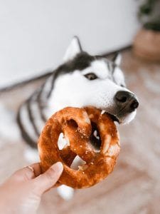 Bretzel de Pollo Deshidratado