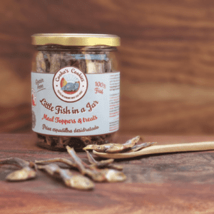 Pececitos en un frasco