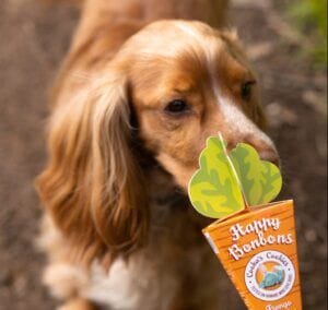 Bombones Besitos de pollo, sardina y zanahoria