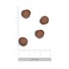 pienso-gato-hypoallergenic-insecto-fresco-gato-adulto