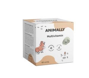 Multivitamin 60 comprimidos