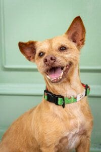 Collar - Colecci&oacute;n #soymariquita