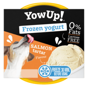 Yogur helado de salm&oacute;n tartar YowUp!