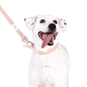 Correa Realbarbi: Fabricada en materiales impermeables de alta calidad