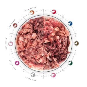 Pack Variado de Alimento Natural para Perros – 16 unidades de 500g