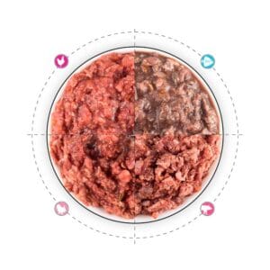 Pack Iniciación Dieta BARF Menús Completos 16x500g con pollo, pavo, cerdo y boquerón/pavo, alimento natural y equilibrado para perros