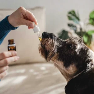 Aceite CBD para Perros Medianos