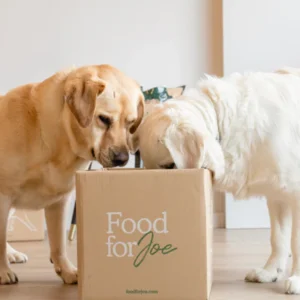 Mejillón de labios verdes - Formato frasco