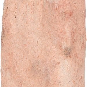 Polo Helado con Muslo de Pollo