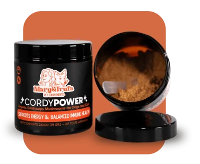 CordyPower para perros