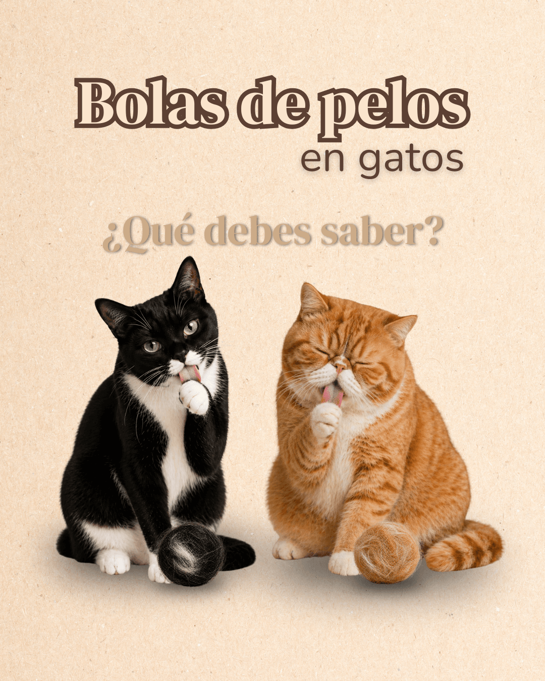 Bolas de pelo