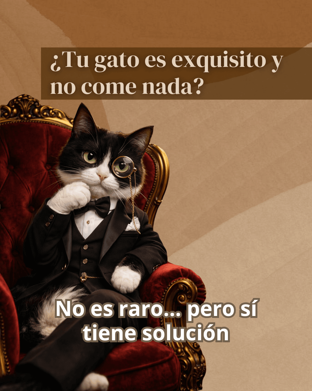 Mi gato no come nada, 7 trucos