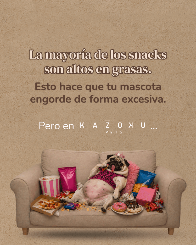 snacks inteligentes para mascotas