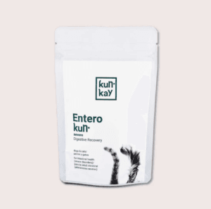 suplemento diarrea severa perros y gatos