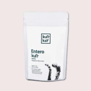 suplemento diarrea severa perros y gatos